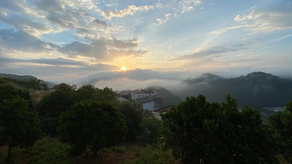 Altissima Guesthouse Penacova Buitenkant foto